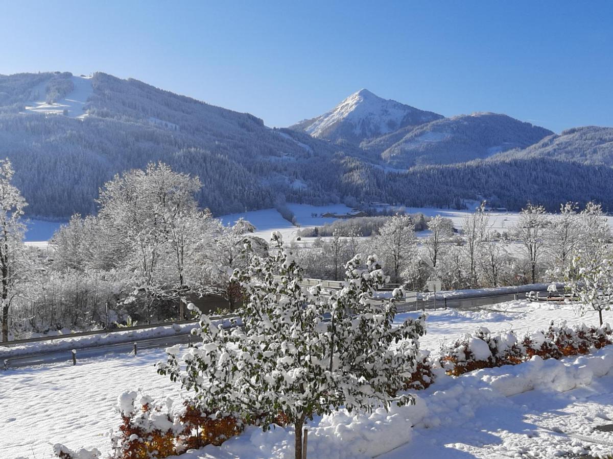 Filzerlehen Villa Radstadt Ngoại thất bức ảnh