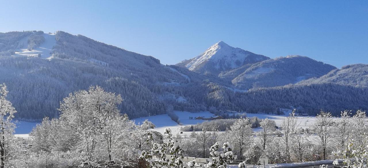 Filzerlehen Villa Radstadt Ngoại thất bức ảnh