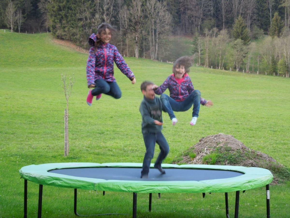 Filzerlehen Villa Radstadt Ngoại thất bức ảnh